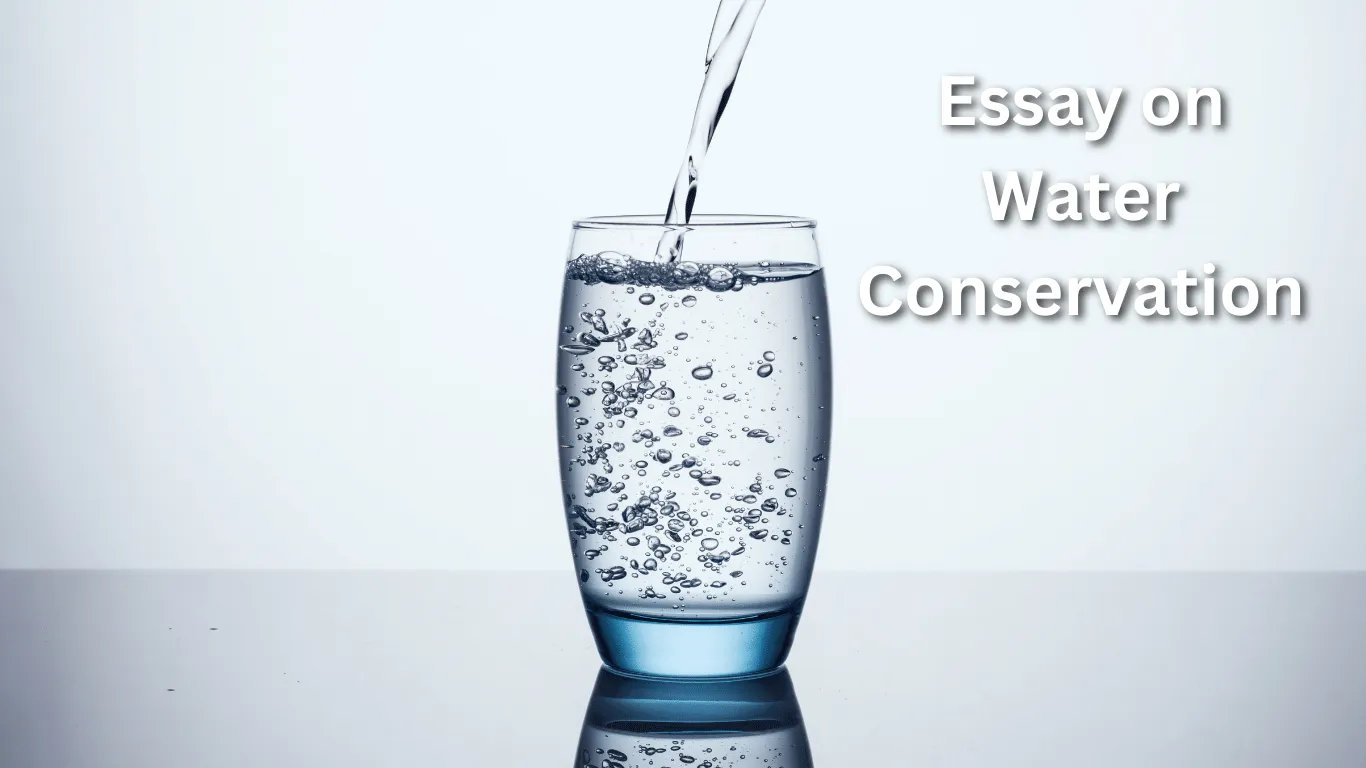 Essay on Water Conservation in Hindi